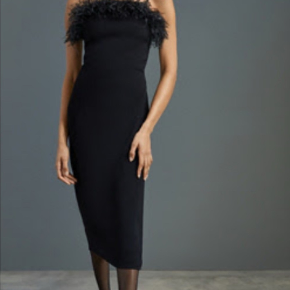 Anthropologie Elegant Feather Trim Wedding Guest Dress